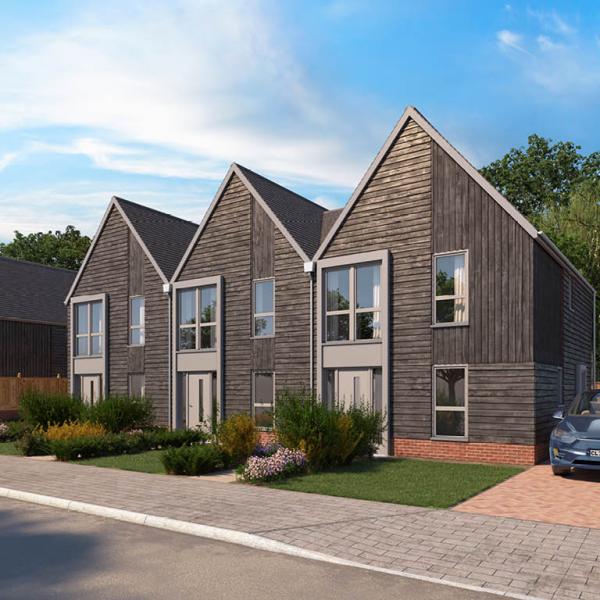 Hornbeam CGI