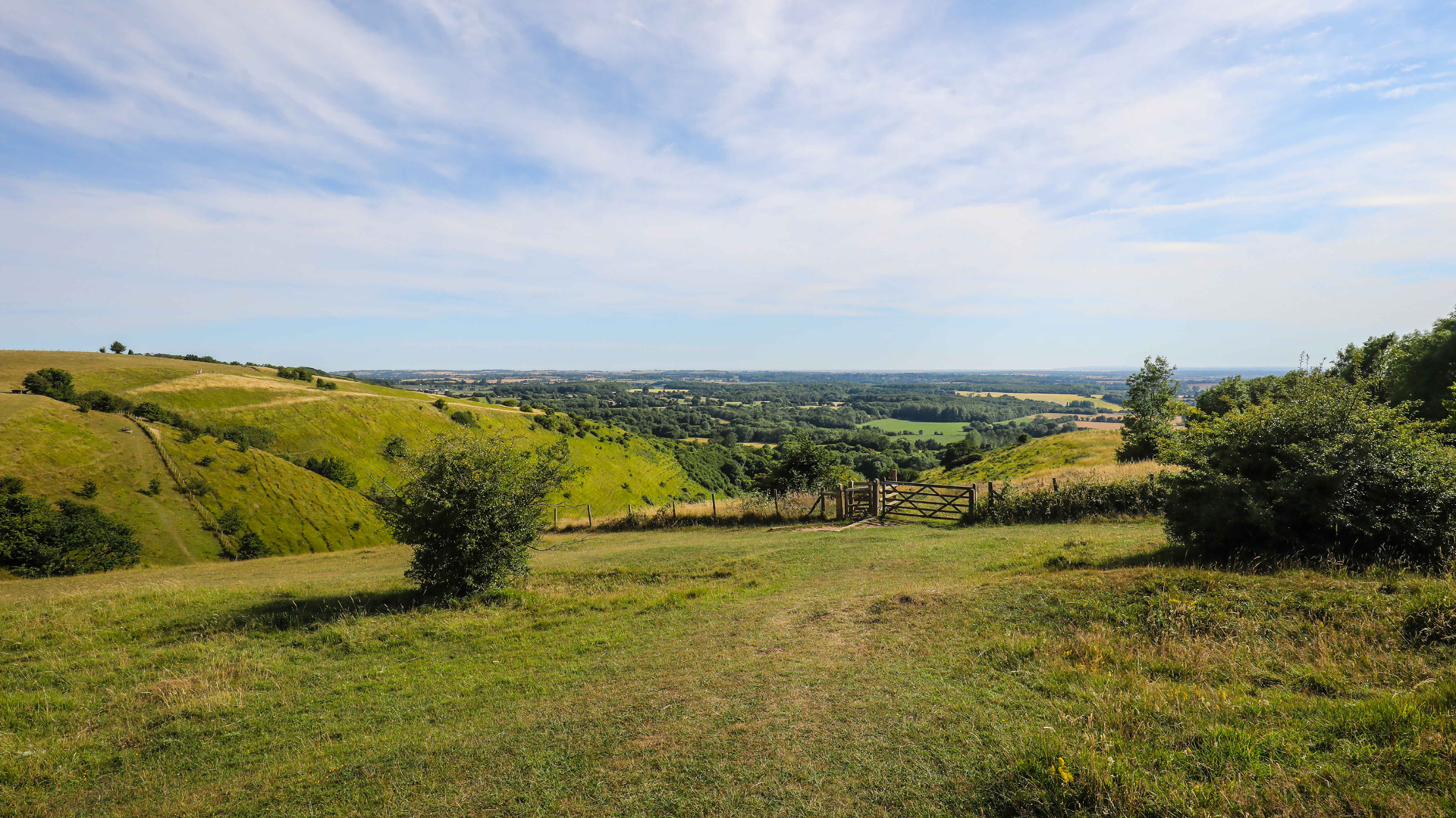 Wye Downs