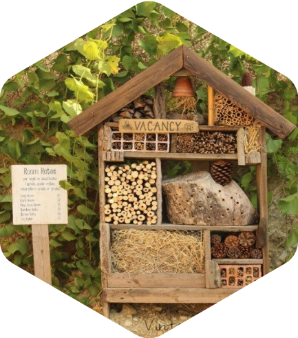 Bug Hotels